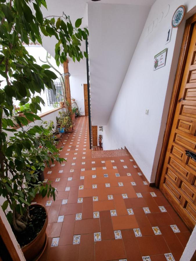 Apartamentos En Patio Cordobes San Basilio Córdoba Buitenkant foto