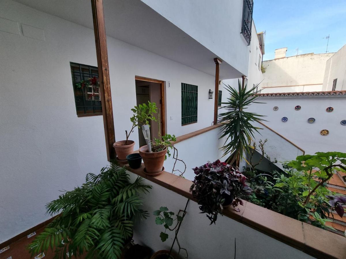 Apartamentos En Patio Cordobes San Basilio Córdoba Buitenkant foto